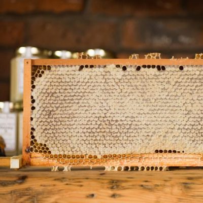A frame of honeycomb from a beehive with a background of honey jars slightly out of focus.