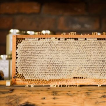 The miracle of beeswax