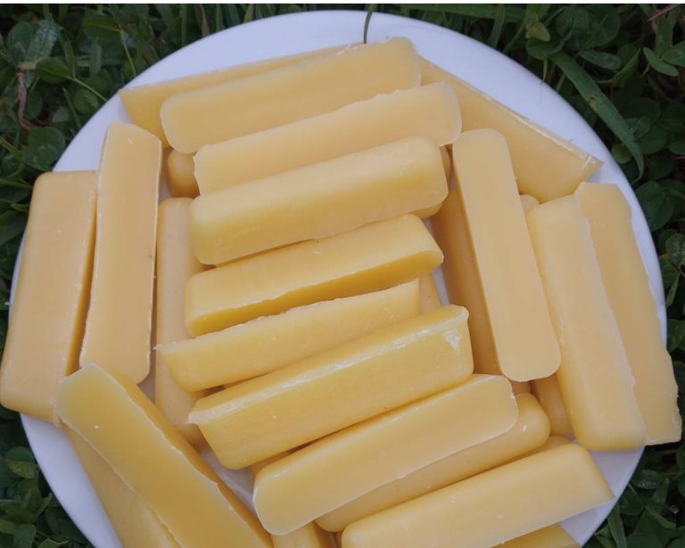 Bars of creamy yellow filtered beeswax on a white plate with a background of green grass